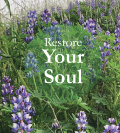 The Wildflower Lifestyle Wellness